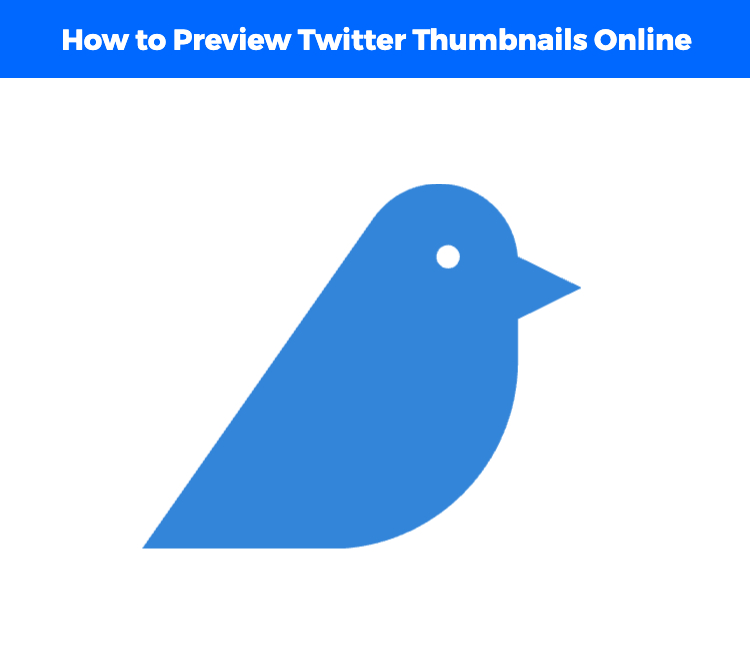 Twitter Thumbnail Guide